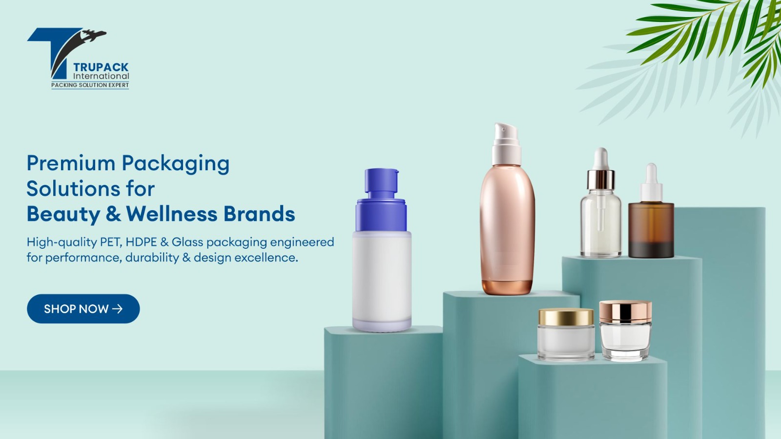 whatsapp image 2025 11 19 at 12.26.31